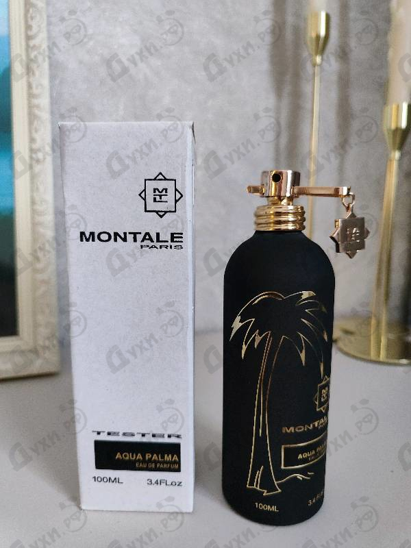 Купить Aqua Palma от Montale