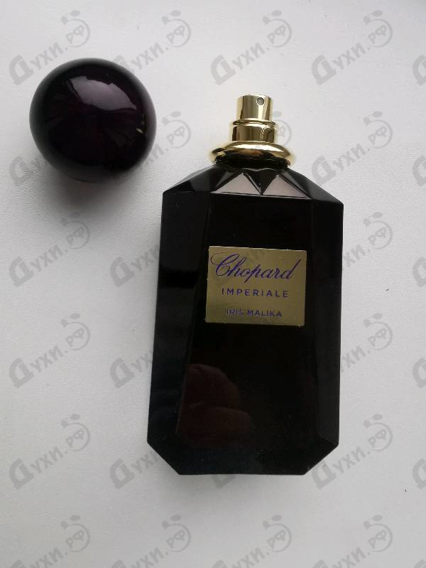 Купить Iris Malika от Chopard