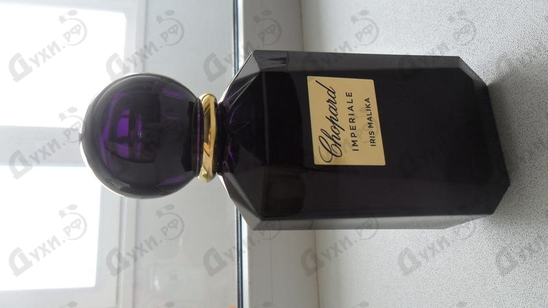 Купить Chopard Iris Malika