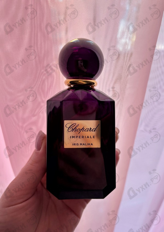 Парфюмерия Iris Malika от Chopard