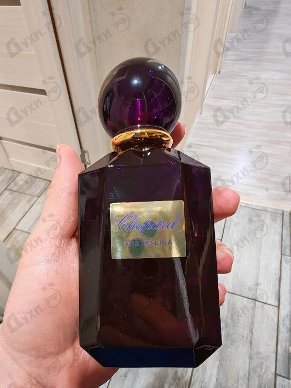 Отзыв Chopard Iris Malika