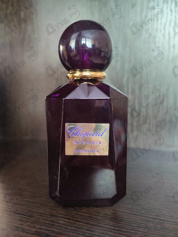 Отзывы Chopard Iris Malika