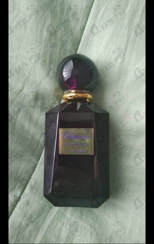 Отзыв Chopard Iris Malika