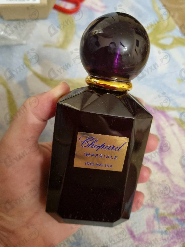 Парфюмерия Iris Malika от Chopard