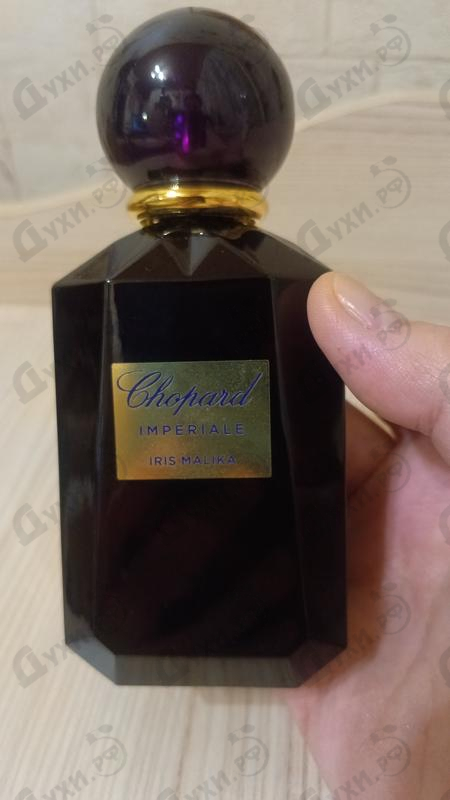 Отзывы Chopard Iris Malika