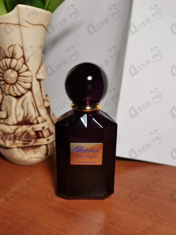 Духи Iris Malika от Chopard Отзывы Chopard Iris Malika