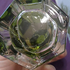 Купить Iris De Gris от L'Artisan Parfumeur