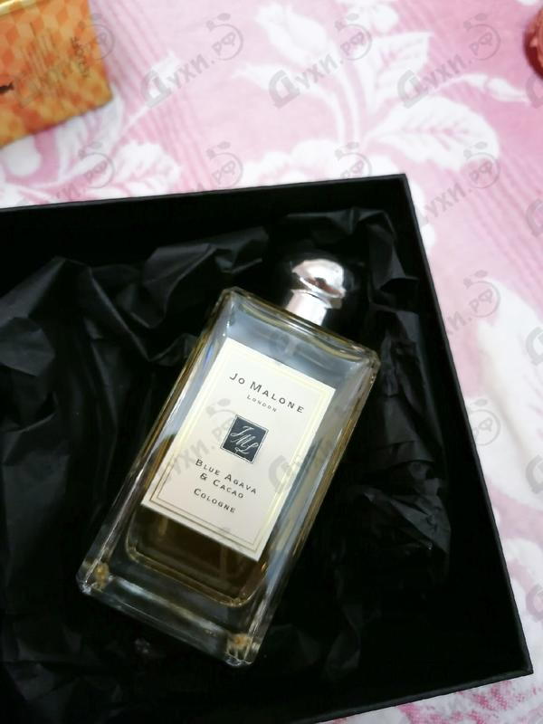 Парфюмерия Blue Agava And Cacao от Jo Malone