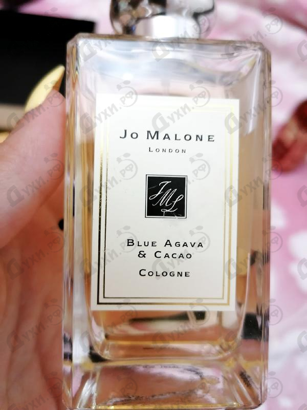 Отзыв Jo Malone Blue Agava And Cacao