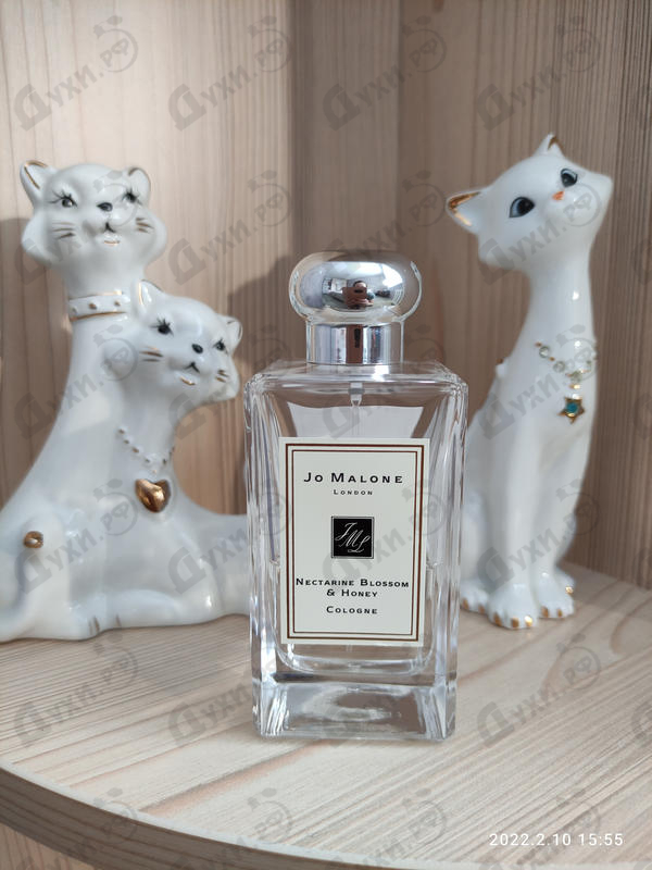 Купить Nectarine Blossom And Honey от Jo Malone