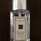 Отзывы Jo Malone Nectarine Blossom And Honey