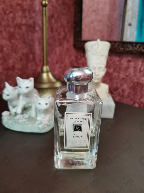 Купить Nutmeg & Ginger от Jo Malone