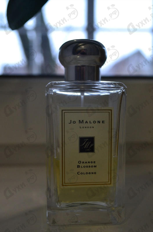 Парфюмерия Jo Malone Orange Blossom Духи Orange Blossom от Jo Malone