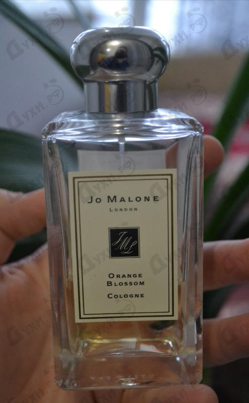 Купить Jo Malone Orange Blossom