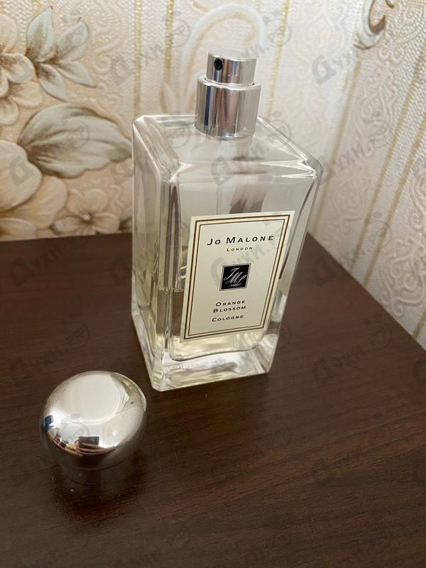 Купить Orange Blossom от Jo Malone