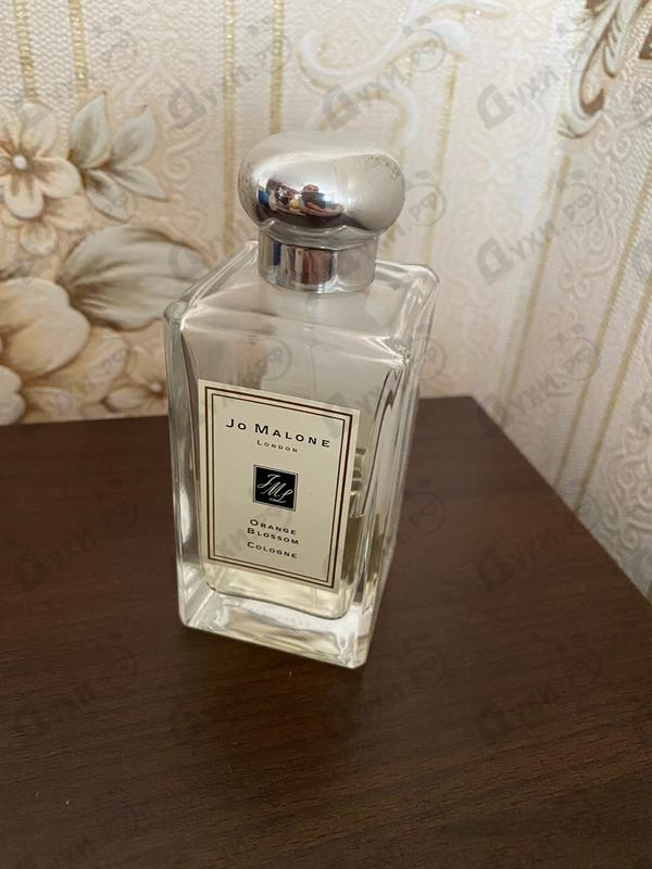 Купить Orange Blossom от Jo Malone