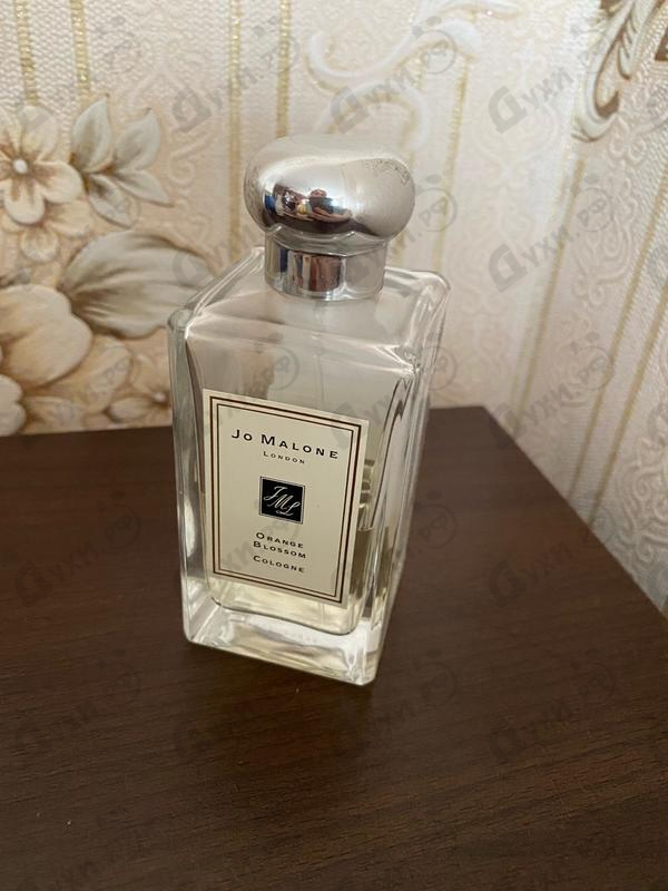 Отзыв Jo Malone Orange Blossom Купить Orange Blossom от Jo Malone