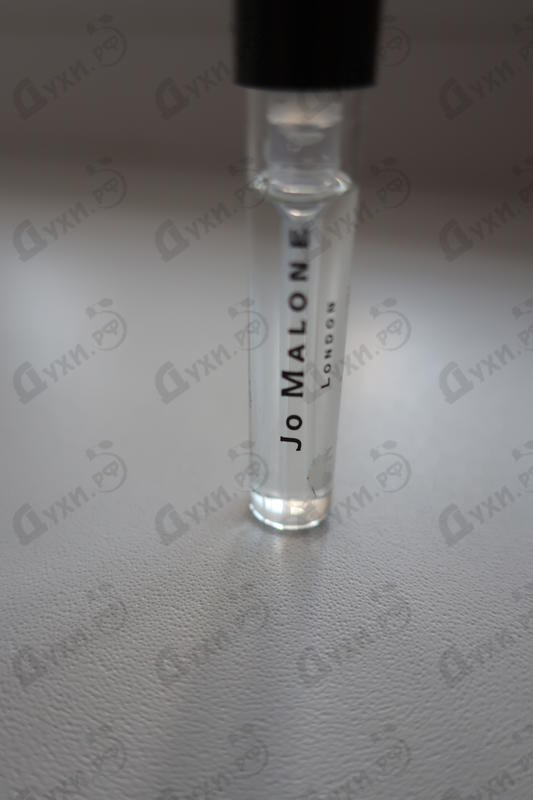 Парфюмерия Pomegranate Noir от Jo Malone