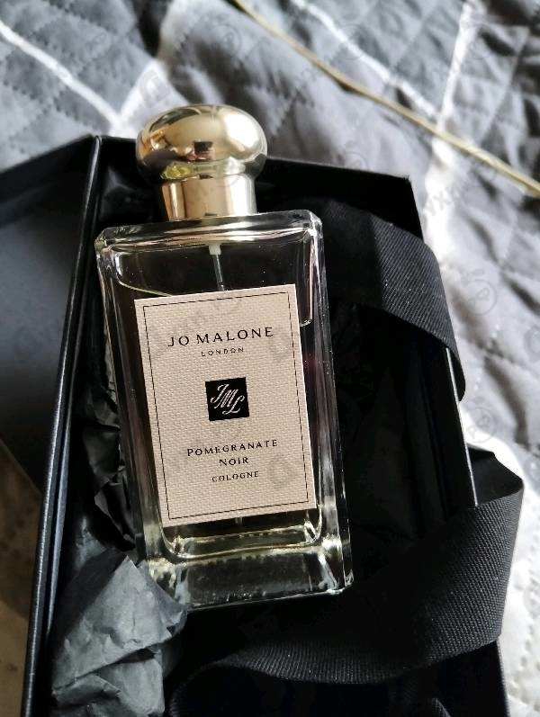 Купить Pomegranate Noir от Jo Malone