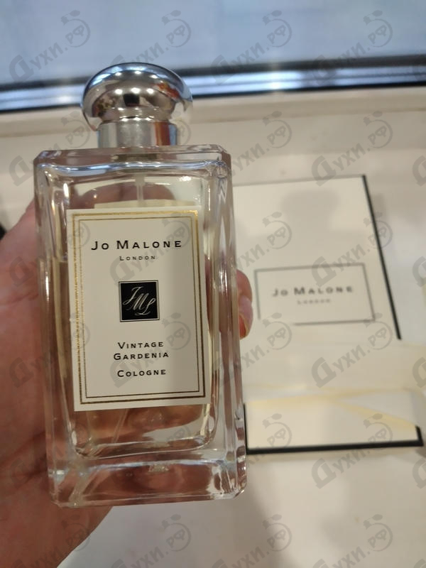 Парфюм Jo Malone Vintage Gardenia Купить Vintage Gardenia от Jo Malone