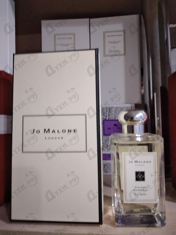 Отзывы Jo Malone Vintage Gardenia