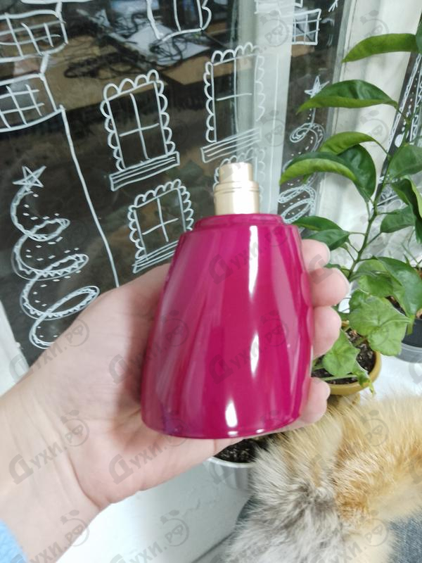 Парфюмерия Amour от Kenzo