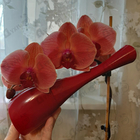 Духи Amour от Kenzo