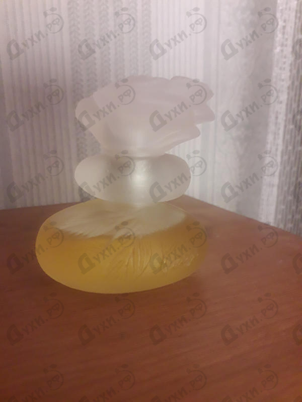 Отзывы Kenzo Ca Sent Beau Парфюмерия Ca Sent Beau от Kenzo