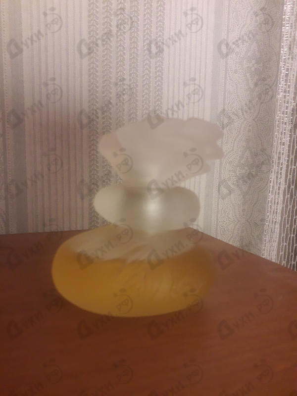 Купить Ca Sent Beau от Kenzo Отзыв Kenzo Ca Sent Beau