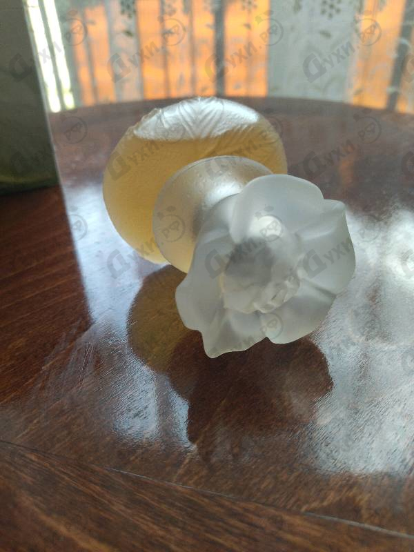 Купить Ca Sent Beau от Kenzo