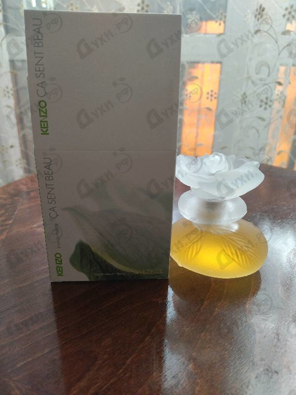 Отзыв Kenzo Ca Sent Beau