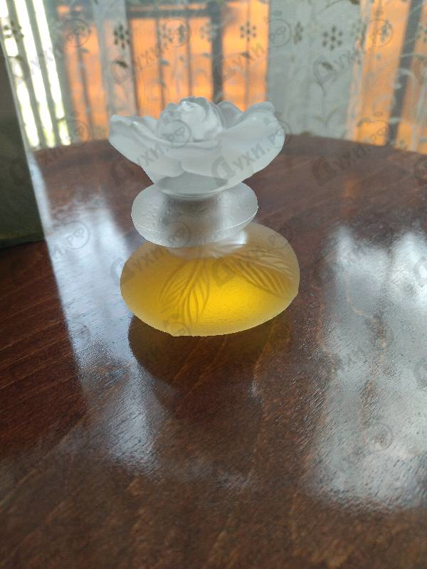 Парфюмерия Ca Sent Beau от Kenzo