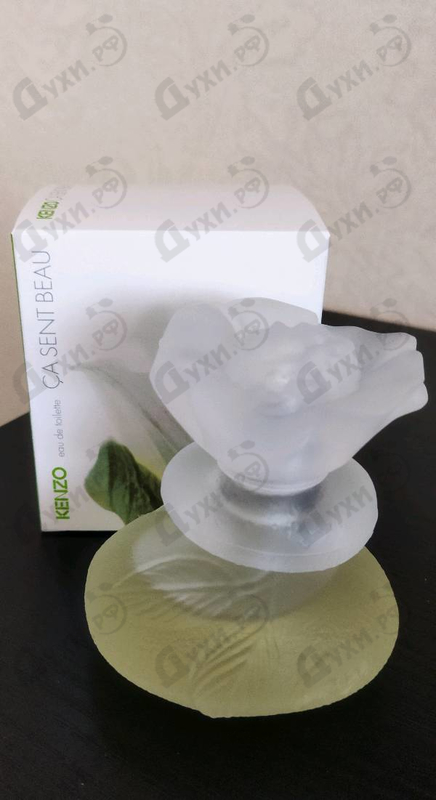 Парфюмерия Kenzo Ca Sent Beau