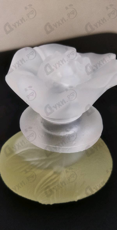 Парфюмерия Ca Sent Beau от Kenzo