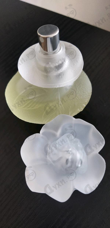 Парфюмерия Kenzo Ca Sent Beau