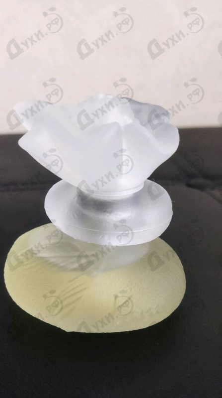 Отзыв Kenzo Ca Sent Beau