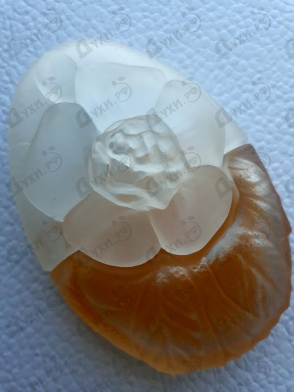 Купить Ca Sent Beau от Kenzo Отзыв Kenzo Ca Sent Beau