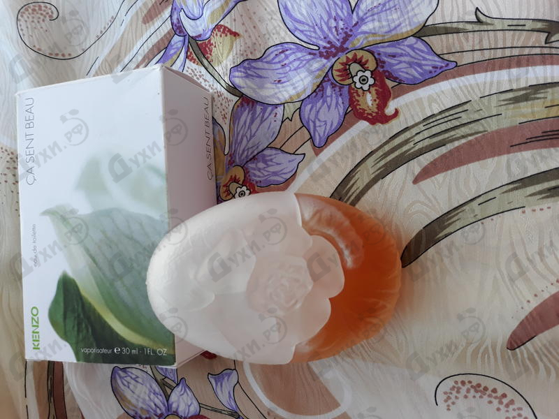 Купить Ca Sent Beau от Kenzo Отзывы Kenzo Ca Sent Beau