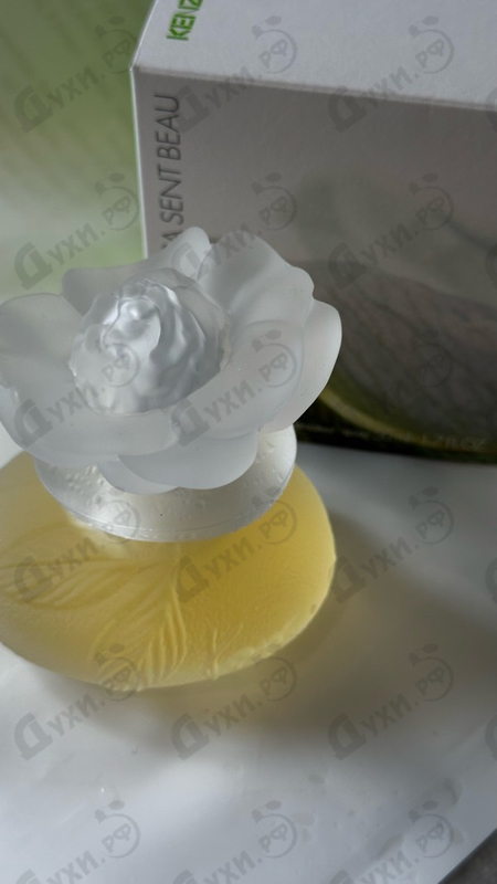 Отзывы Kenzo Ca Sent Beau