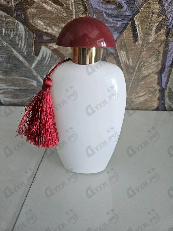 Отзыв The Merchant of Venice Gyokuro