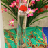 Духи Flower by Kenzo от Kenzo