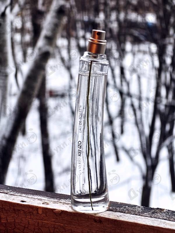 Купить Kenzo Flower by Kenzo