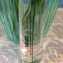 Купить Flower by Kenzo от Kenzo Парфюмерия Kenzo Flower by Kenzo