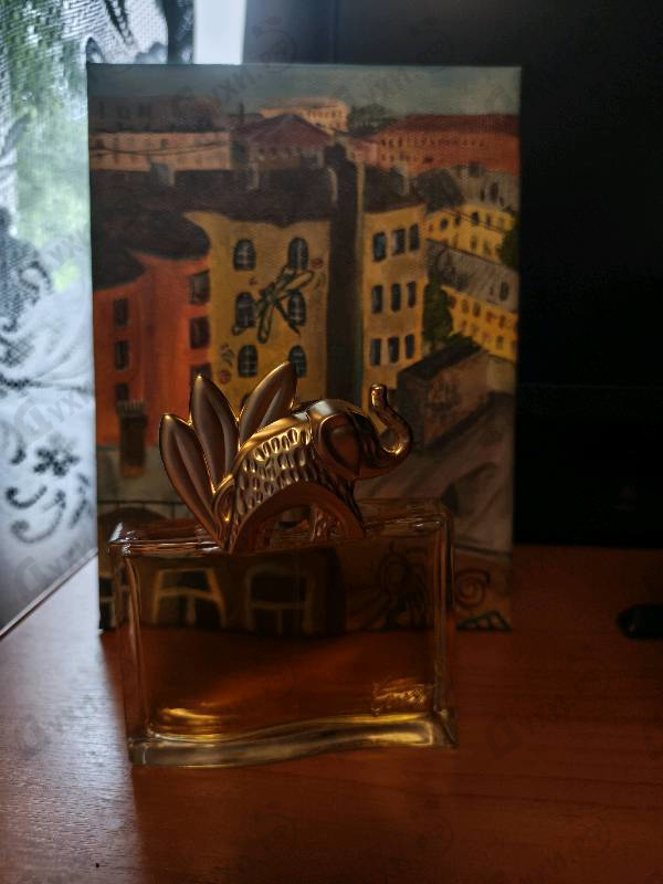 Парфюмерия Jungle L'elephant от Kenzo