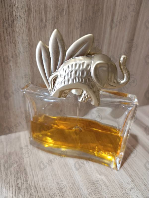 Парфюмерия Jungle L'elephant от Kenzo