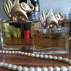 Отзывы Kenzo Jungle L'elephant