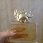 Отзывы Kenzo Jungle L'elephant