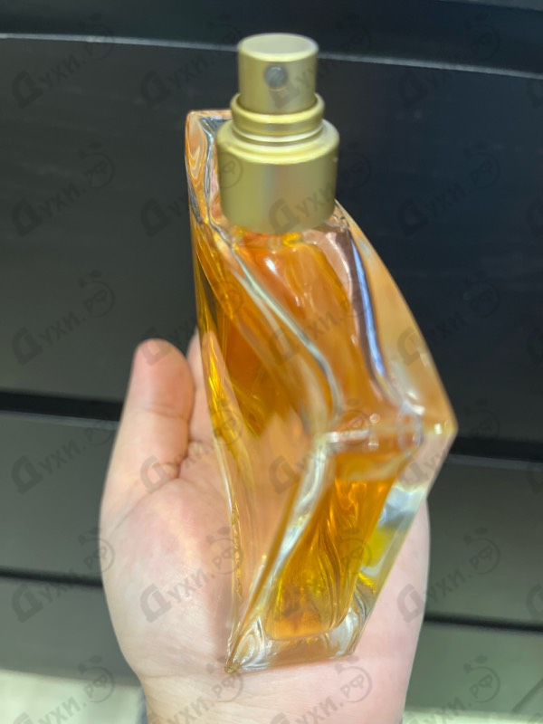 Купить Jungle L'elephant от Kenzo