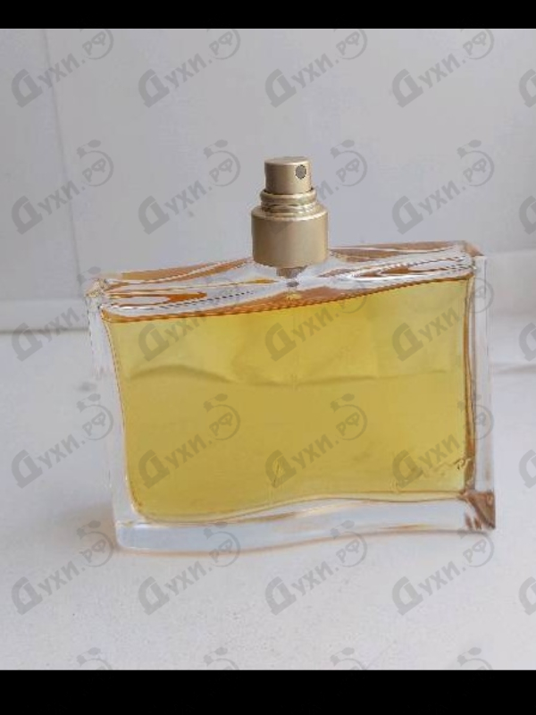 Купить Jungle L'elephant от Kenzo