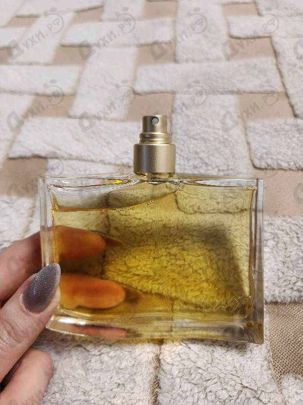 Парфюмерия Jungle L'elephant от Kenzo